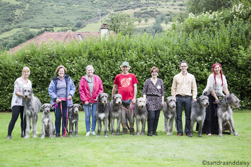 A Gaitherin' of Wolfhounds 2017
